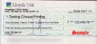 Sample Cheque Printout